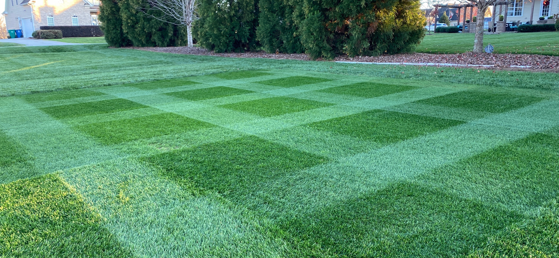 Gci online turf services